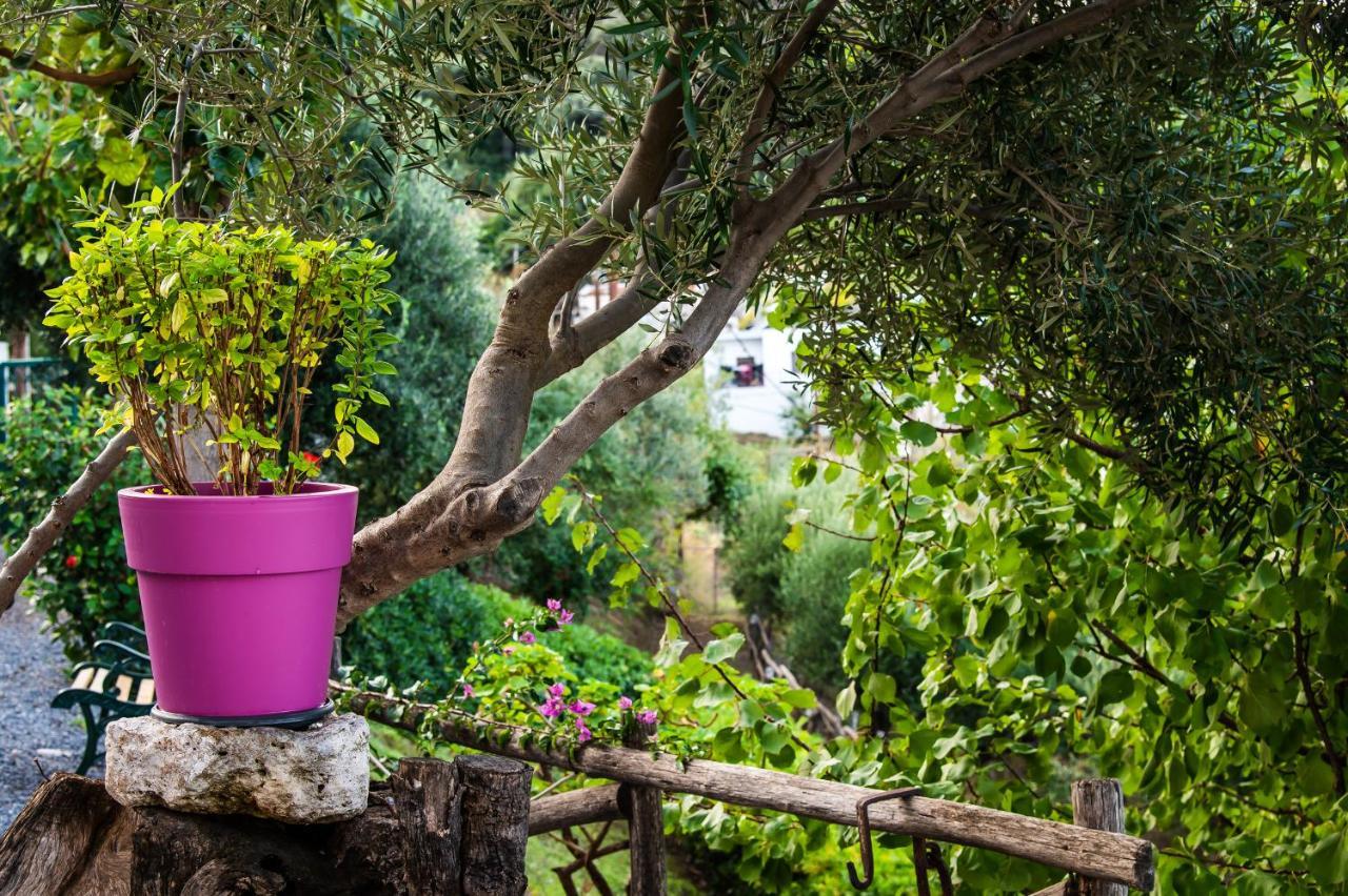 Chic & Spacious House In Rodia Heraklion Bagian luar foto