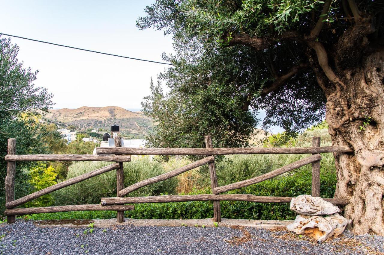 Chic & Spacious House In Rodia Heraklion Bagian luar foto